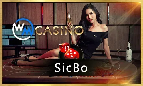 Explore the Jili777 online casino platform